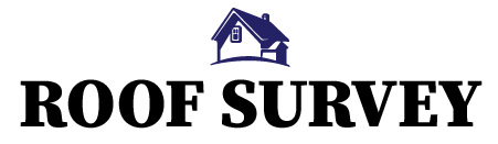 Roof Survey Logo